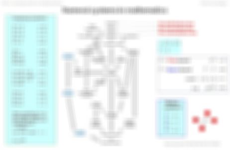 Numeral systems in mathematics